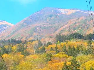 長野県／栂池（つがいけ）自然園☆②ロープ…