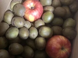 【日記】箱いっぱいのキウイ