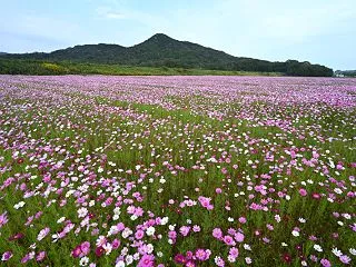 「秋の彩り」 （香川県さぬき市）