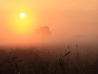 渡良瀬の日の出
