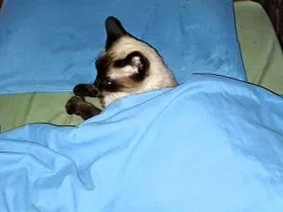 くら～いお家は嫌だけど・・ ～ 《じゃじ…