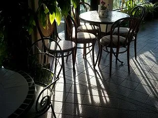秋の斜光