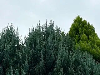 静かな秋ウォーキング