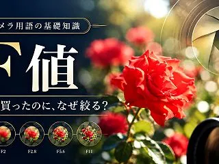 F1.4のレンズを買ったのに、なぜわざわ…