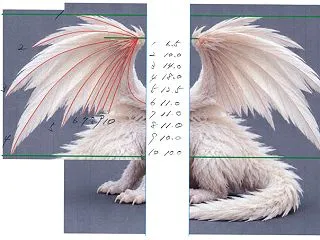 【長崎】シコンノボタン・ちびドラゴンの羽…