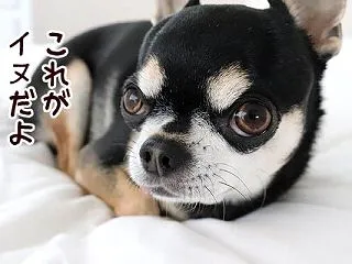 そんな時もあります