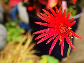 10月20日 火曜日