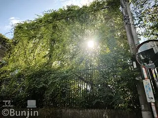 Piercing the Green