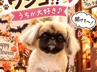 自力で来店したワンコ！！