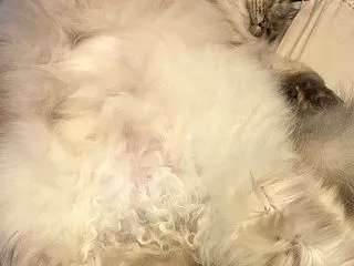 子育てスキル高すぎる夫よ、ありがとう