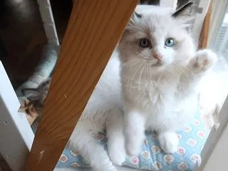 みんな集まれ～