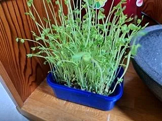 １０/２０（火）そんなお年頃～！