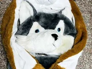 私は犬になるよ～(笑´∀｀)
