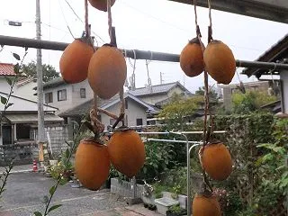 濃霧、曇りの朝