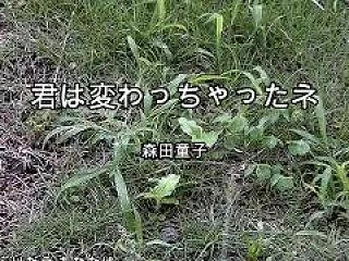 ★僕たちの失敗