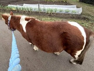 チェリーちゃんは27歳・現役セラピスト♪