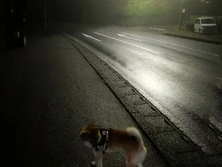 夜明けは遅く、日没は早く……
