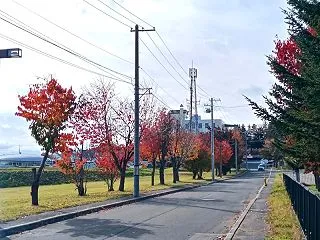 定点撮影