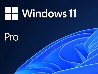 WIn11 Pro 安っ！( ﾟдﾟ)