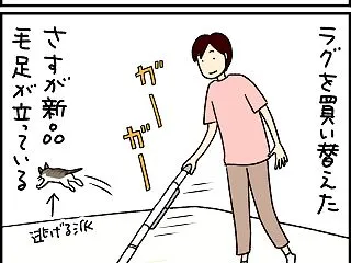 まぼろしの肉球