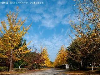 秋色の散歩道。