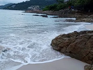 美人な観光客を撮影したり落ちてる魚を激写…