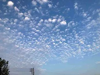 午後松山空港に遊ぶ うろこ雲が見えた暑い…