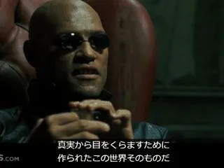 もののみかた