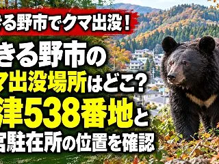 あきる野市のクマ出没場所はどこ？乙津53…