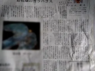 『年寄りの資産を奪うこの国のサロンが滅ぶ…