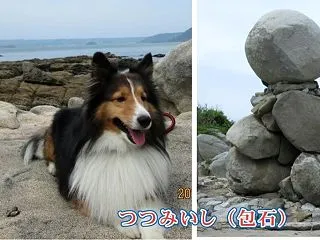 小次郎の行楽－糸島 つつみいし（包石）－