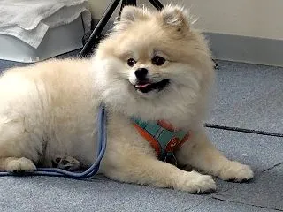 成長著しい・・・・