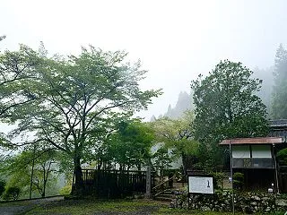 奈良遠征 曼珠沙華＠宇陀市 悟真寺