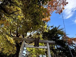 【おうちご飯】昼・青パパイヤ・チャンプル…