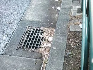 もうほんとうに