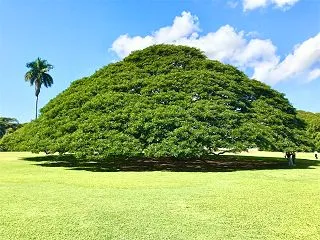 可能性を開き、幸せな人生を創造する「日常…