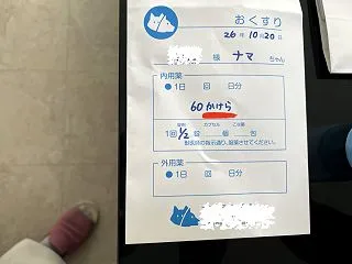 かけら？とやっと形になりました