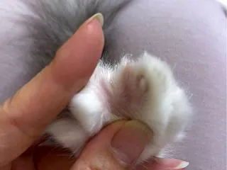 そういえば、きれいになりました☆
