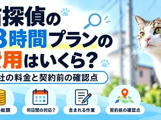 猫探偵の18時間プランの費用・料金は？3…