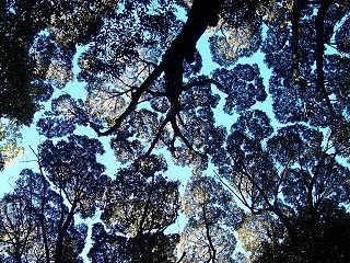 根来寺から