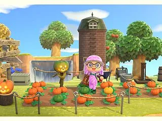 【あつ森】かぼちゃ畑をリニューアル！ハロ…