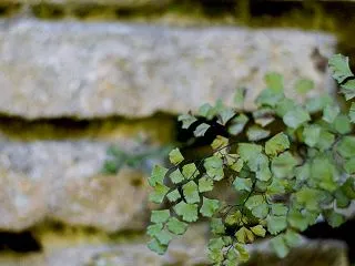 「被災者」は置いてきぼりですか