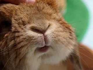 ニコニコ報告