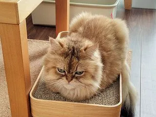 戻ってきたな