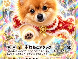 9月20日‥北九州でキックボクシング大会…