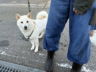 女の子と間違えていた(^▽^;)