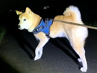 同じ時間なのに暗さが深くなる
