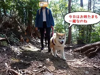 2026.10.18 菩提山を制覇せよ!