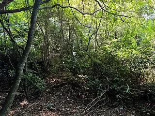 子ども5人と加波山登山 2．暗中模索