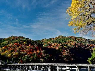 【保存版】京都紅葉案内～桂川周辺「夕映え…